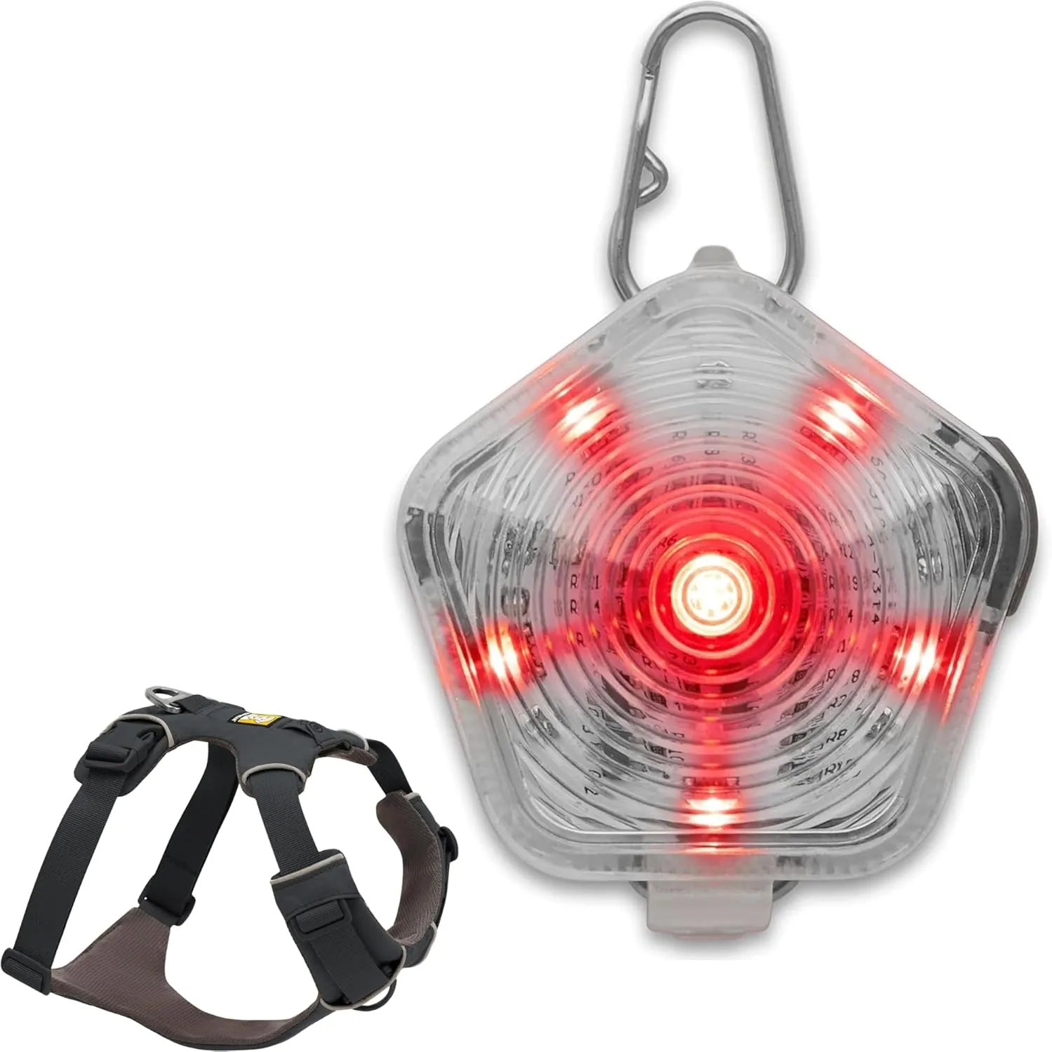 Ruffwear, Front Range Dog Harness & Beacon Light Bundle – No Pull Dog Harness with Rechargeable Light for Collar, Night Walking & Hiking, Adjustable Padded Vest, Basalt Gray, X-Small