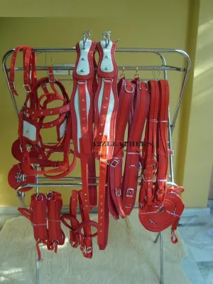 Safety Harness