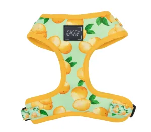 Sassy Woof Adjustable Harness - Main Squeeze