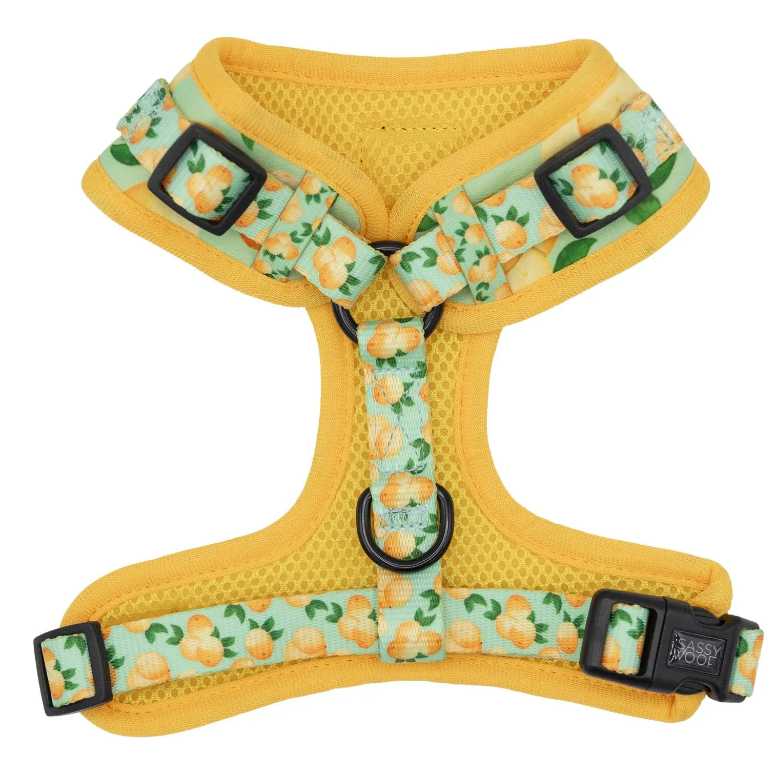 Sassy Woof Adjustable Harness - Main Squeeze