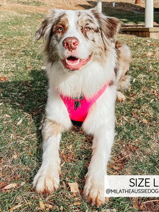 Sassy Woof Adjustable Harness - Neon Pink