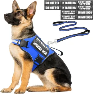 Service Dog Vest Harness and Leash Set 10 Patches,No Pull&Easy Walk Reflective Dog Harness with Soft Padded Handle for Training/Everyday,Fit Small/Medium/Large/Extra-Large Dogs (Blue XL)