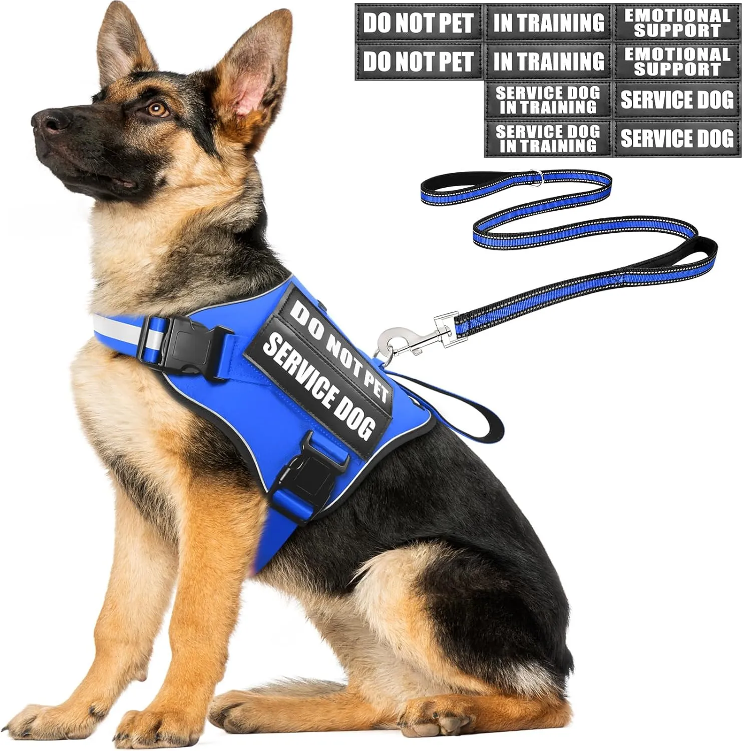 Service Dog Vest Harness and Leash Set 10 Patches,No Pull&Easy Walk Reflective Dog Harness with Soft Padded Handle for Training/Everyday,Fit Small/Medium/Large/Extra-Large Dogs (Blue XL)