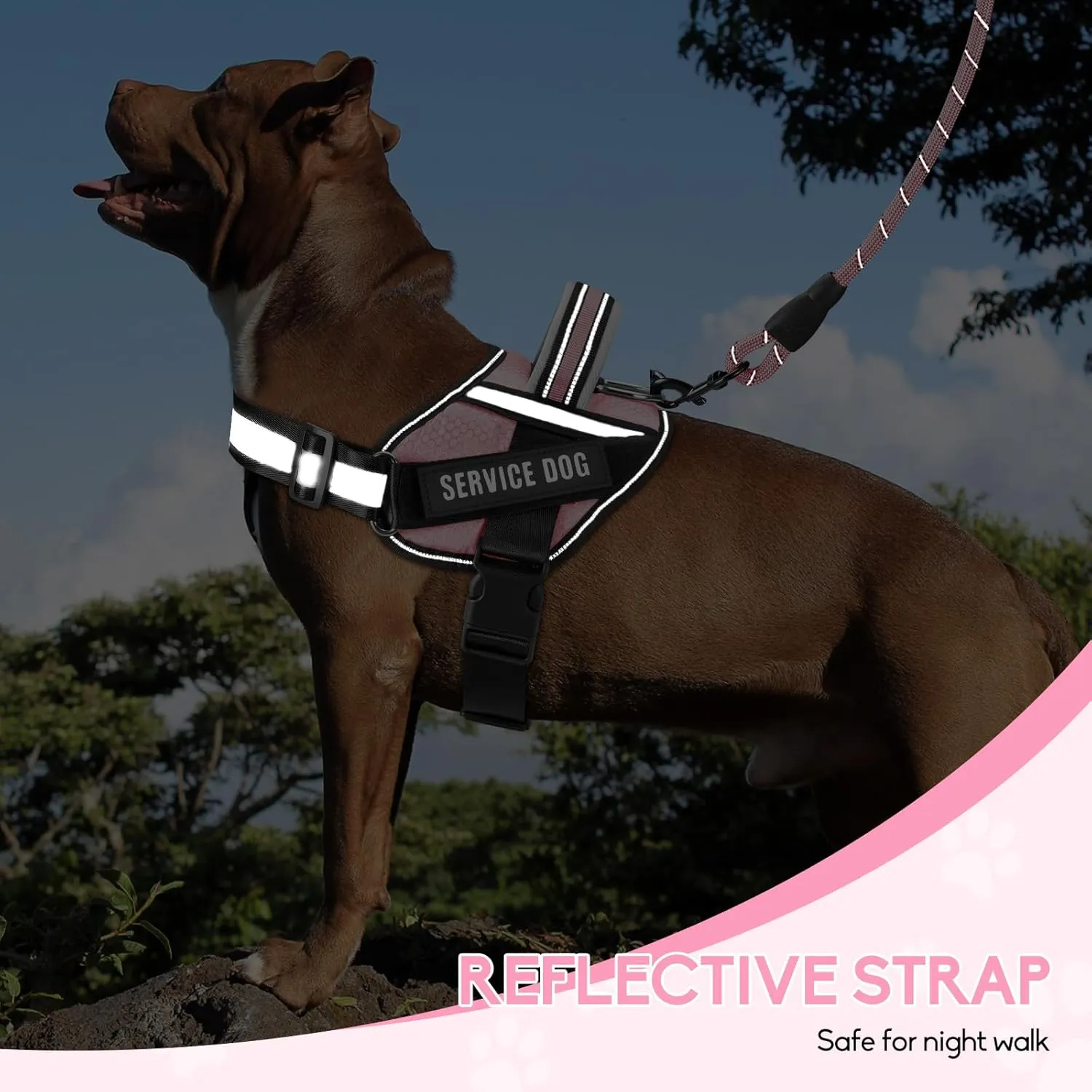 Service Dog Vest Harness and Leash Set, Animire in Training Dog Harness with 10 Dog Patches, Reflective Dog Leash with Soft Padded Handle for Small, Medium, Large, and Extra-Large Dogs(Pink,S)
