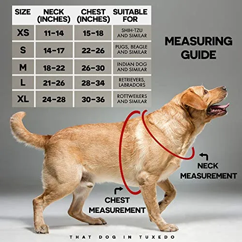 Smiling Daisy Body mesh Harness