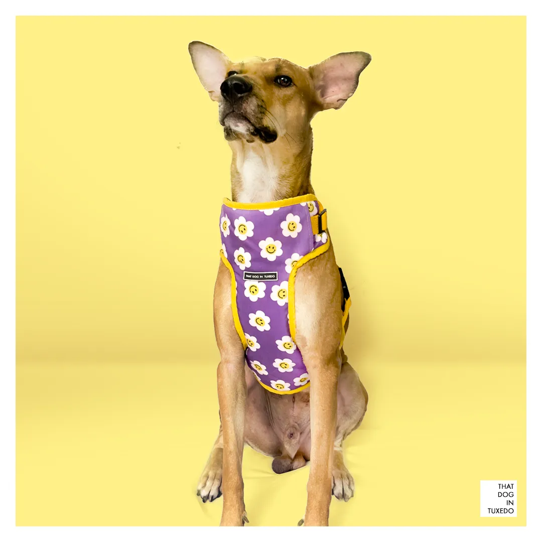 Smiling Daisy Body mesh Harness