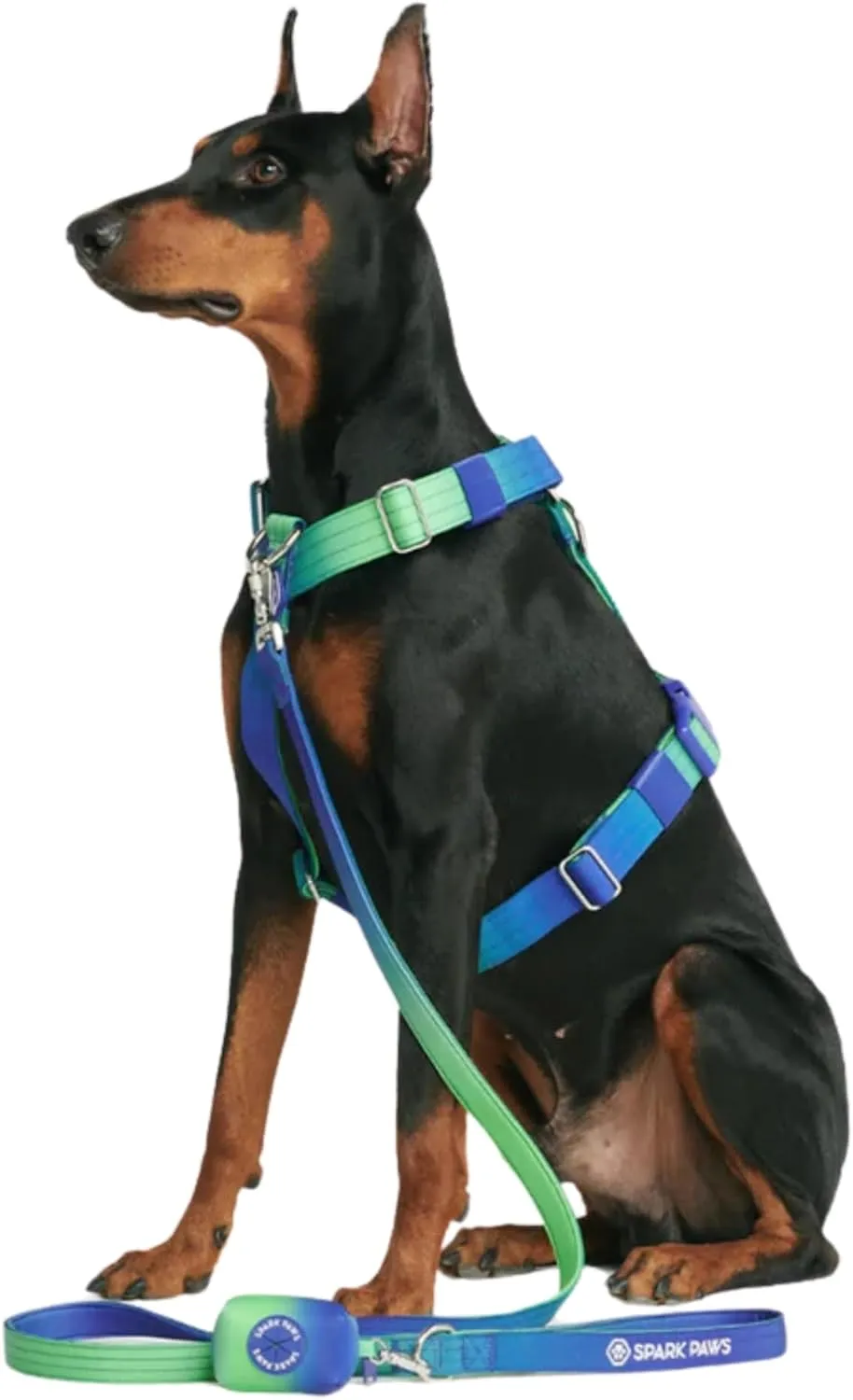 Spark Paws Large Dog No-Pull Harness, Halter Design with Front Clip, Durable and Heavy-Duty for Big and Strong Breeds - Lime Wave - S