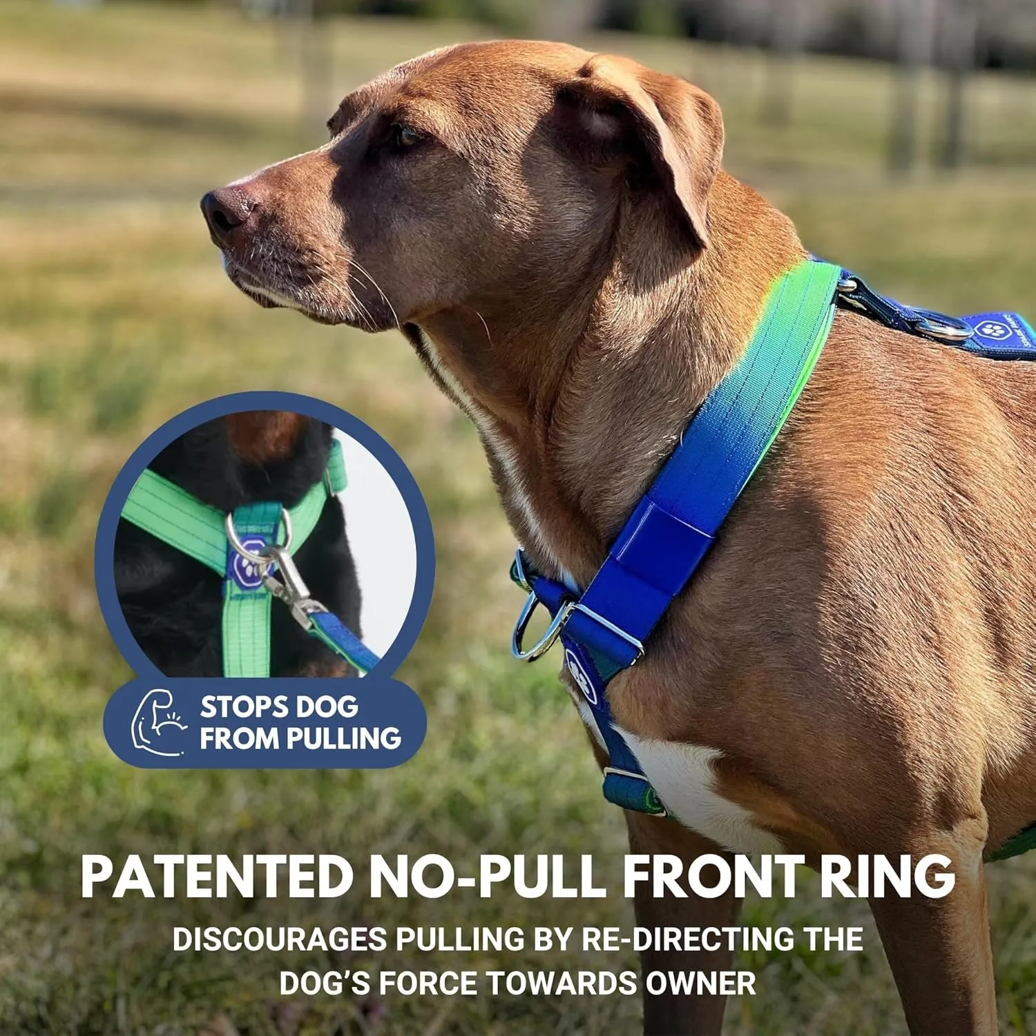 Spark Paws Large Dog No-Pull Harness, Halter Design with Front Clip, Durable and Heavy-Duty for Big and Strong Breeds - Lime Wave - S