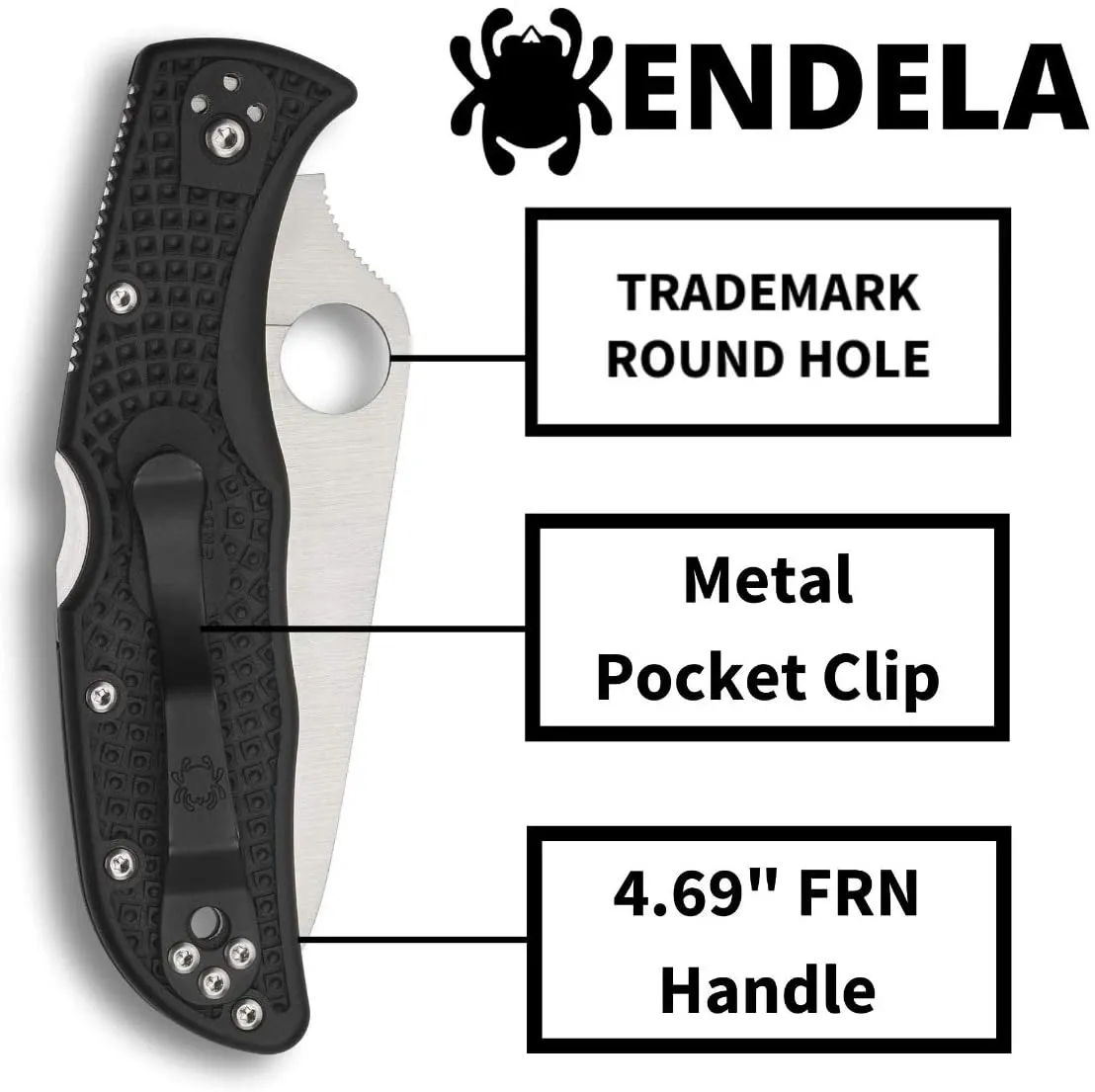 Spyderco Endela Lightweight PlainEdge Folding Knife with 3.41" VG-10 Stainless Steel Blade