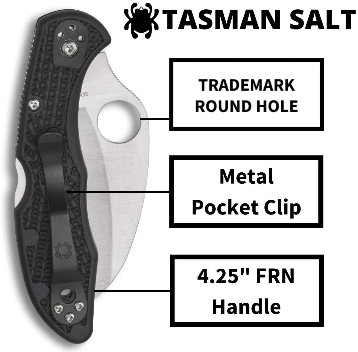 Spyderco Tasman Salt 2 SpyderEdge 2.91" FRN Back Lock Folding Pocket Knife (C106SBK2)