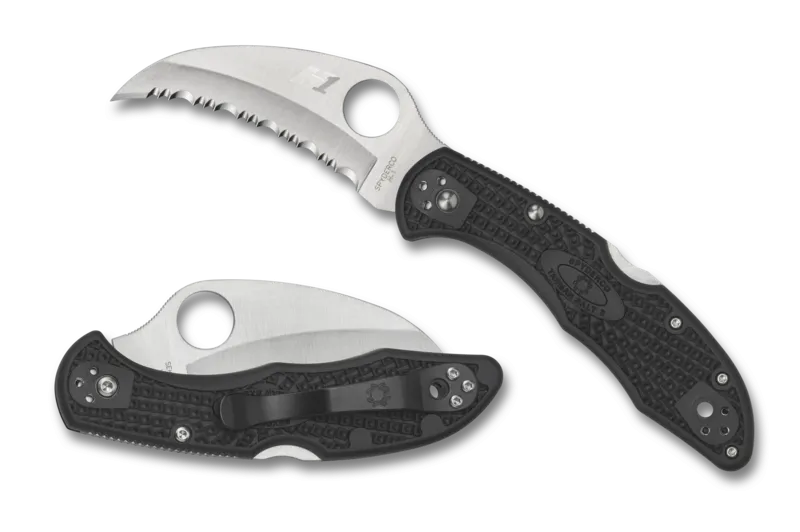 Spyderco Tasman Salt 2 SpyderEdge 2.91" FRN Back Lock Folding Pocket Knife (C106SBK2)