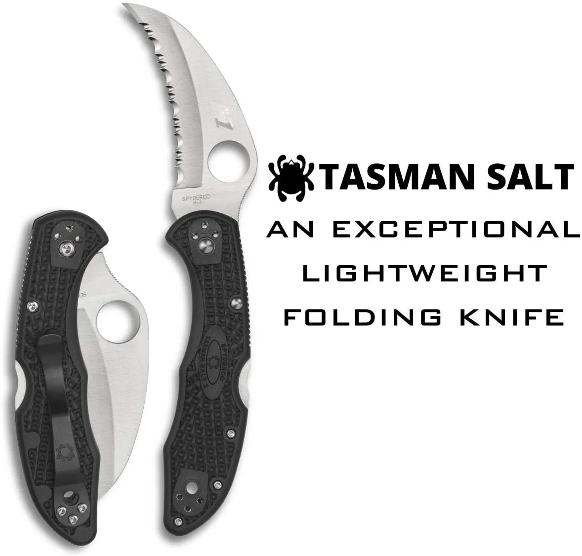 Spyderco Tasman Salt 2 SpyderEdge 2.91" FRN Back Lock Folding Pocket Knife (C106SBK2)