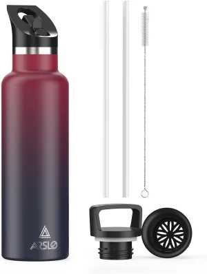 Stainless Steel Double Wall Water Bottles, Vacuum Insulated Bottle With Straw Lid, Insulated Water Bottle Keeps Water Cold for 24 Hours, Hot for 12 Hours, Hiking, Sports