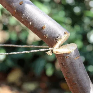 Stainless Steel Wire Saw - Camping Survival Tool
