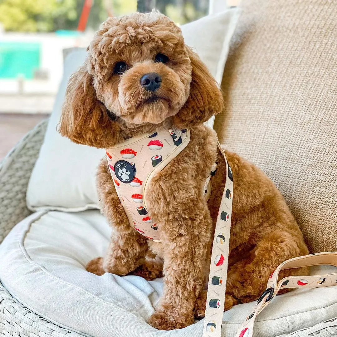 Sushi Harness