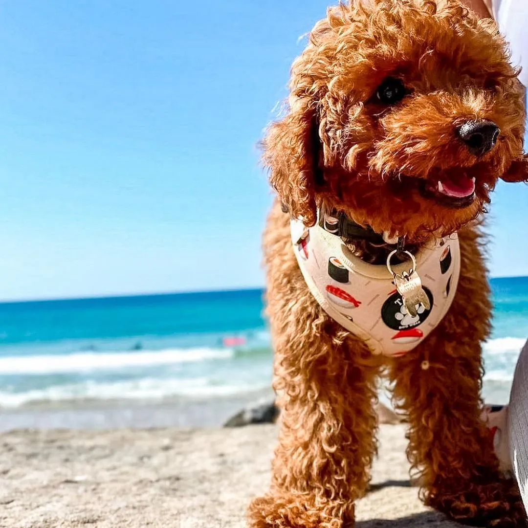 Sushi Harness
