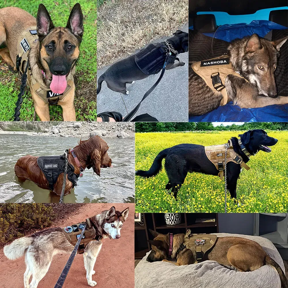 Tactical Dog Harness, Collar & Leash Set – No-Pull, Adjustable Gear