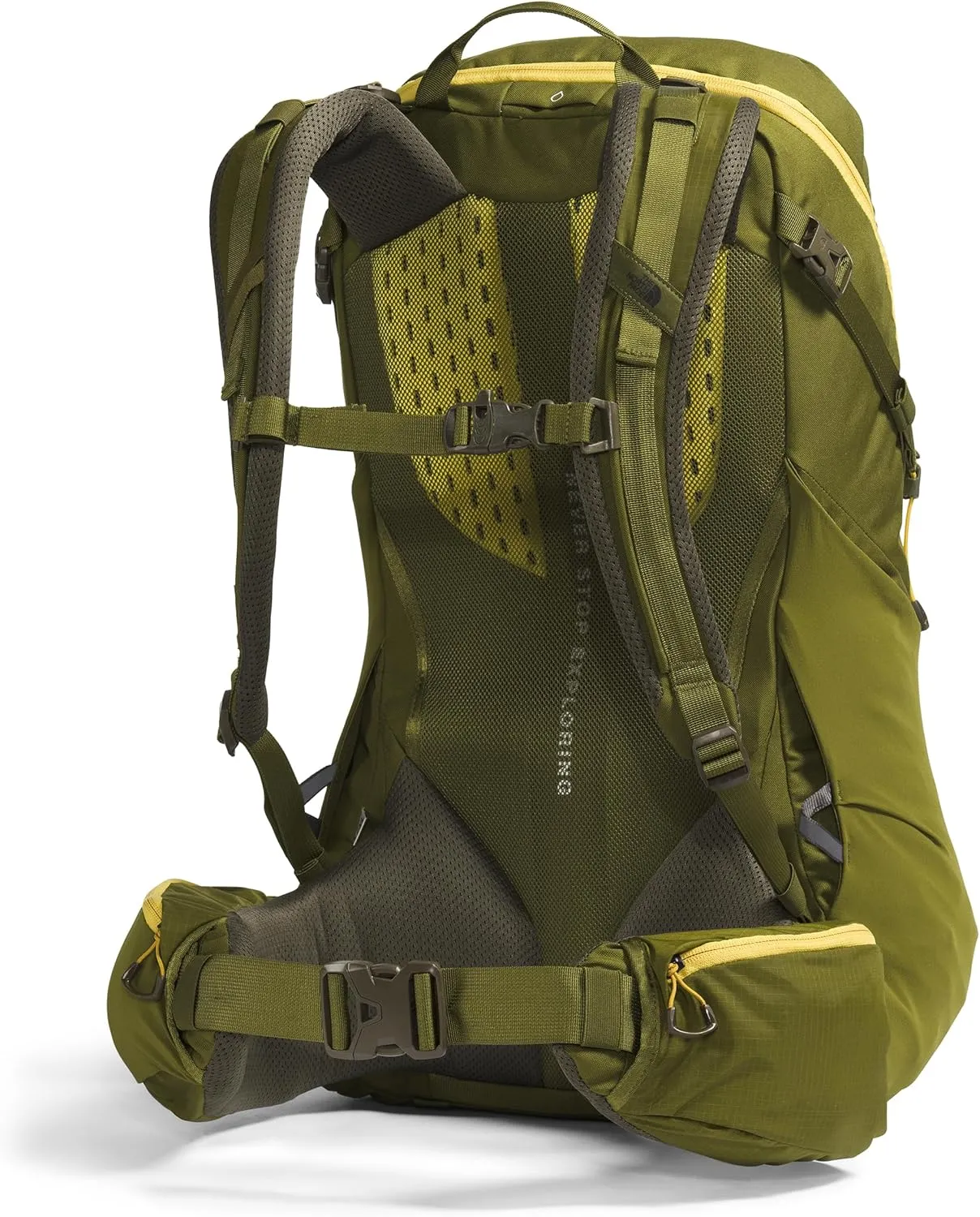 THE NORTH FACE Terra 40, Forest Olive/New Taupe Green, Small/Medium