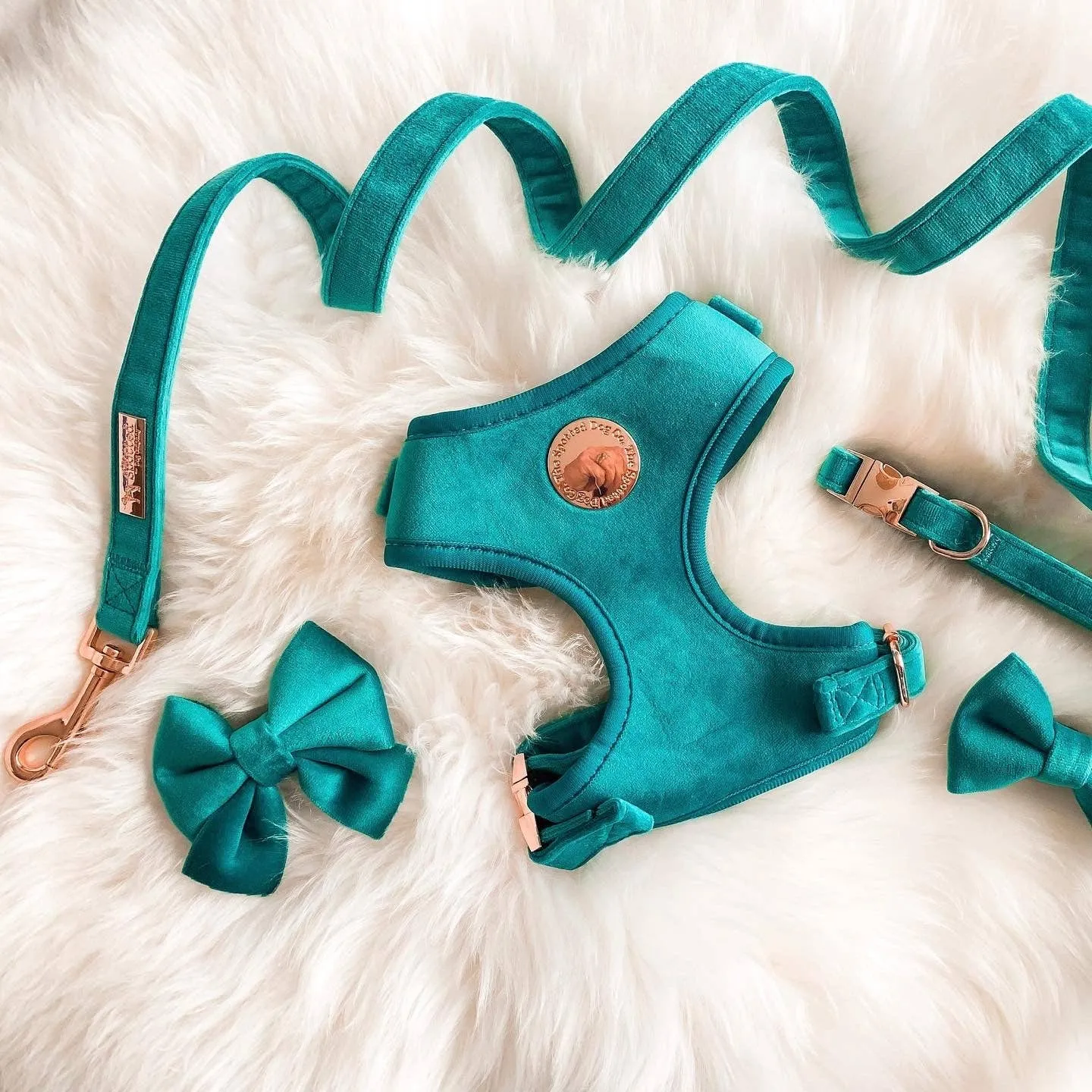 The Spotted Dog Company - Jade Velvet Harness: Small