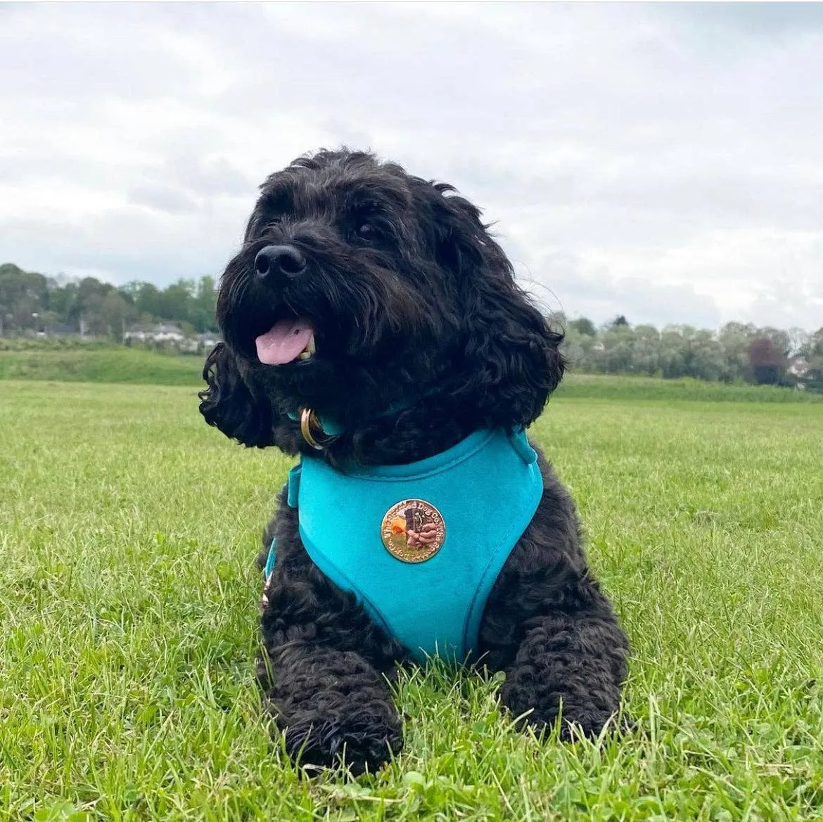 The Spotted Dog Company - Jade Velvet Harness: Small