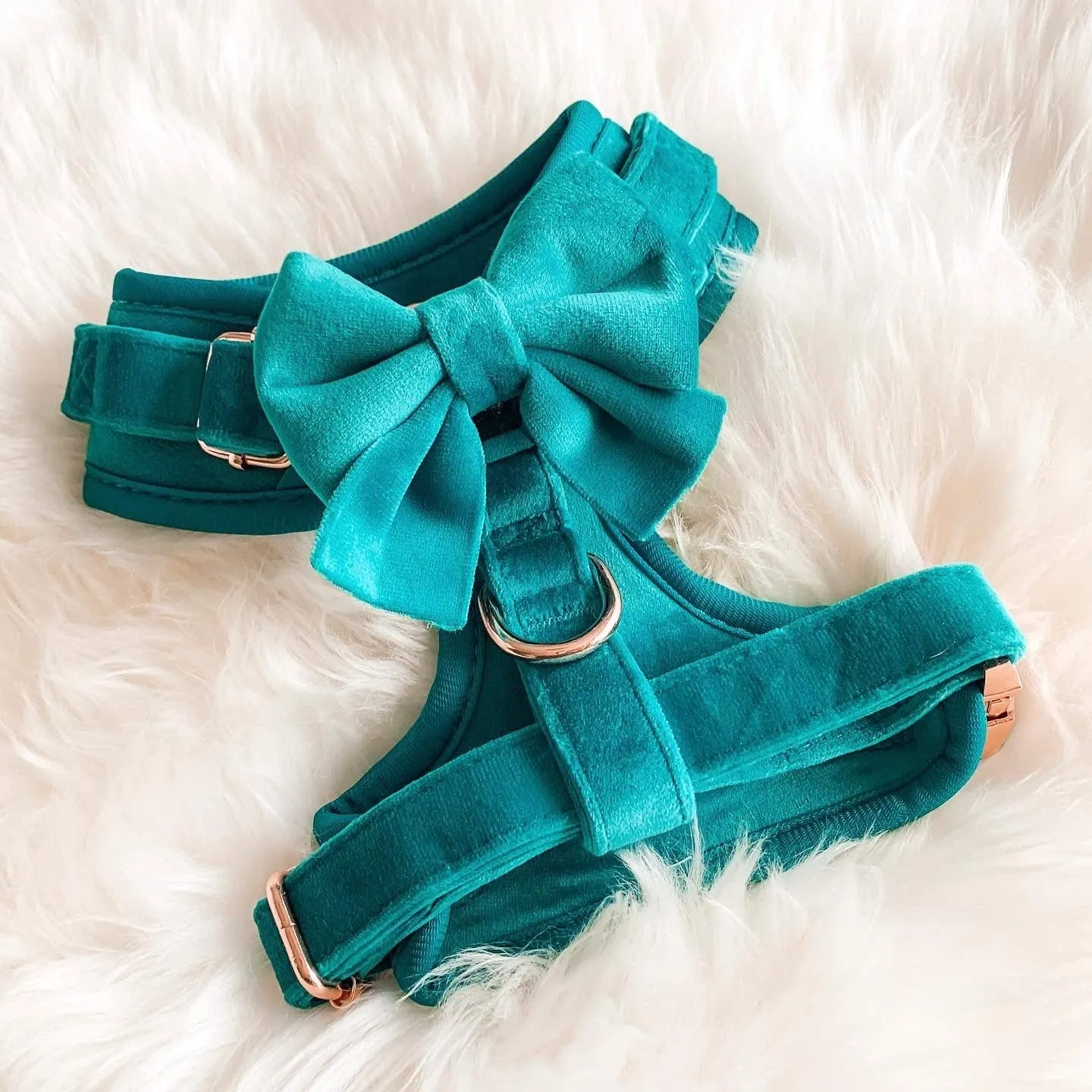 The Spotted Dog Company - Jade Velvet Harness: Small
