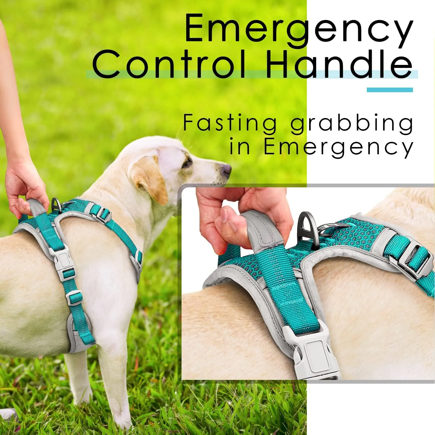 ThinkPet No Pull Harness Breathable Sport Vest with Handle-Dog Harnesses Reflective Adjustable for Medium Large Dogs