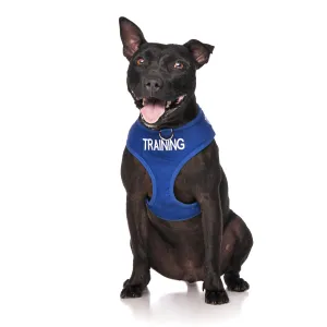 Training Dogs Dog Lead and Vest Harness
