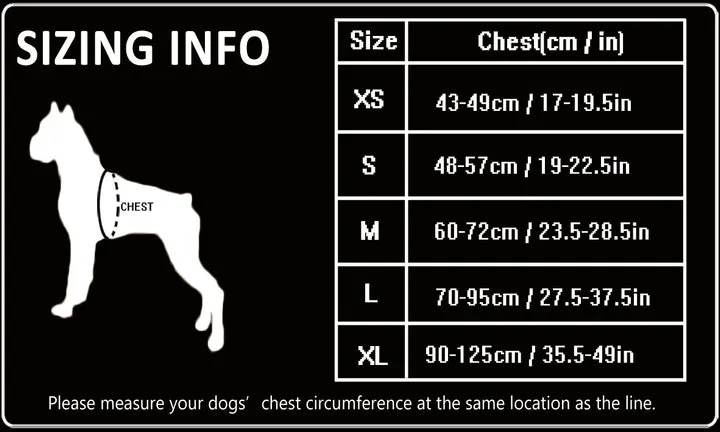 True Love Heavy Duty Sports Dog Harness - Blue, XS