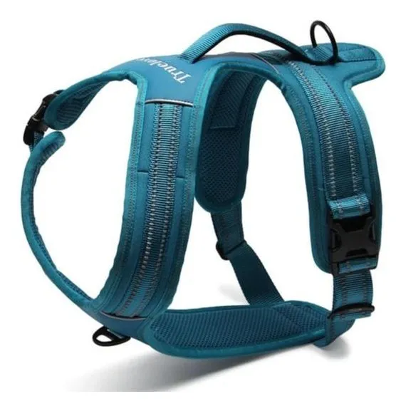 True Love Heavy Duty Sports Dog Harness - Blue, XS