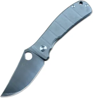 TWO SUN Twosun TS408 Titanium Folding Pocket Knife 14C28N Blade for Outdoor Camping Hunting, GRAY