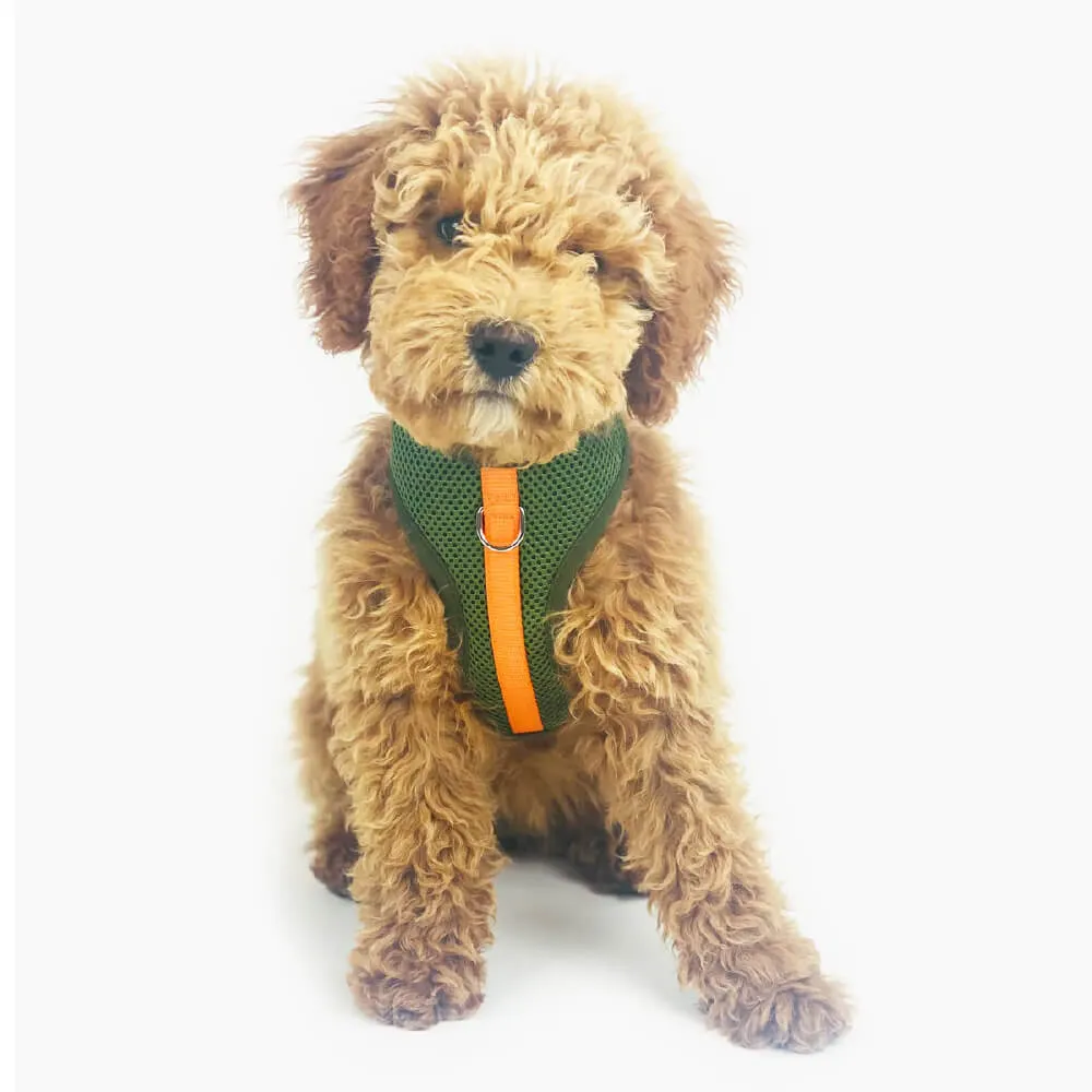 Wagwear Colour-Block Padded Harness